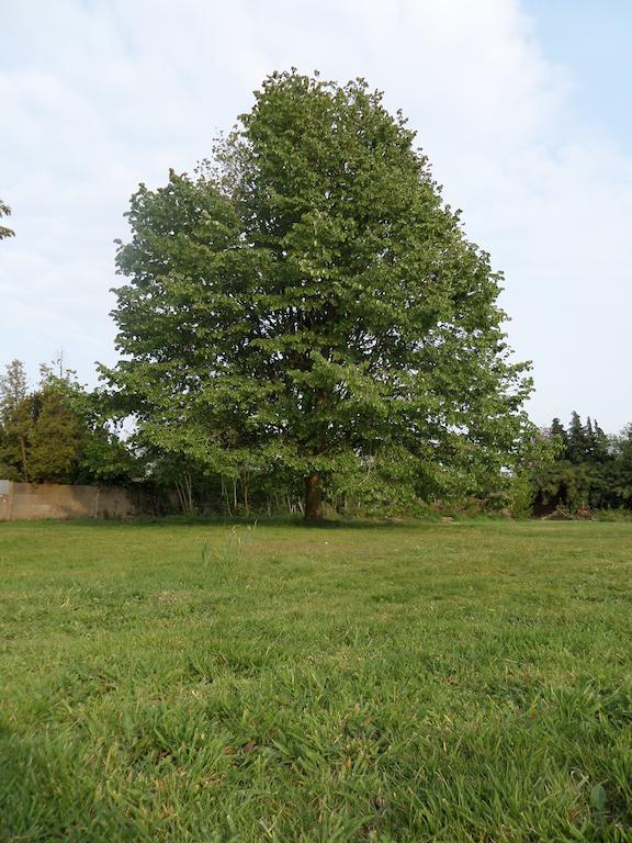 Villa Bijenhof Varsenare Стая снимка